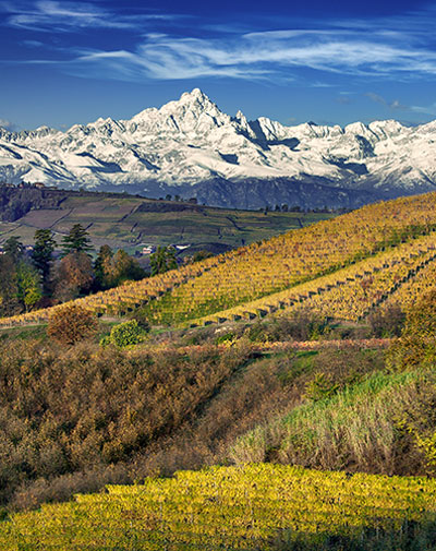 langhe-paesaggio